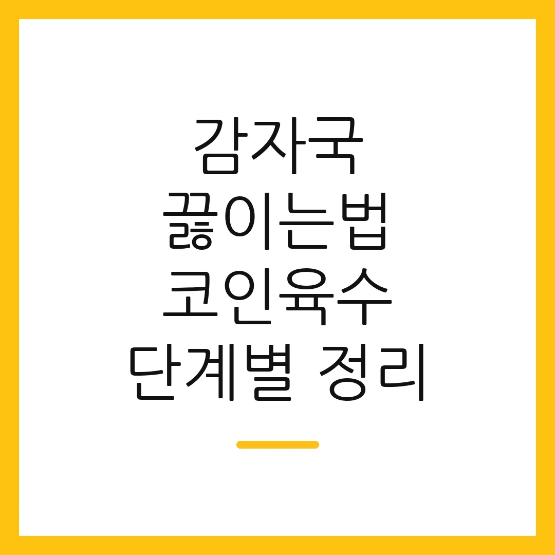 감자국 끓이는법 코인육수 단계별 정리