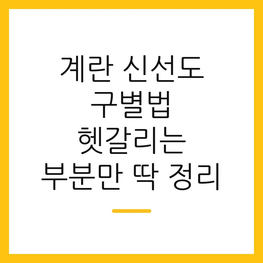 계란 신선도 구별법 헷갈리는 부분만 딱 정리