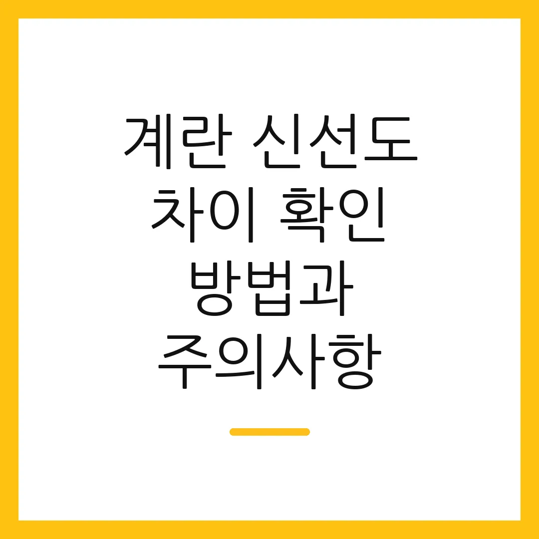 계란 신선도 차이 확인 방법과 주의사항