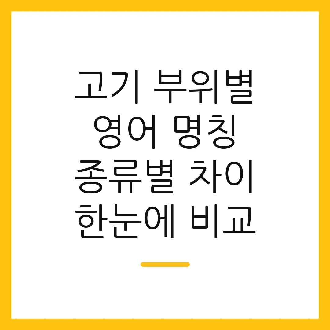 고기 부위별 영어 명칭 종류별 차이 한눈에 비교