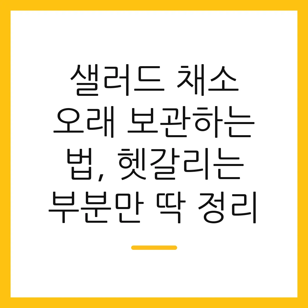 샐러드 채소 오래 보관하는 법, 헷갈리는 부분만 딱 정리