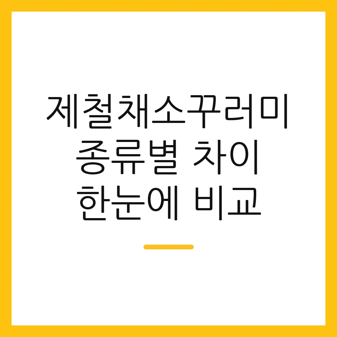 제철채소꾸러미 종류별 차이 한눈에 비교