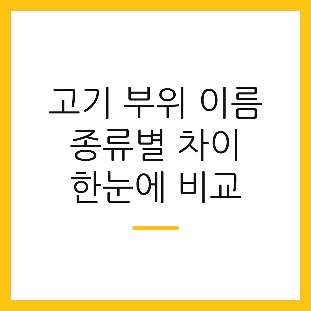 고기 부위 이름 종류별 차이 한눈에 비교